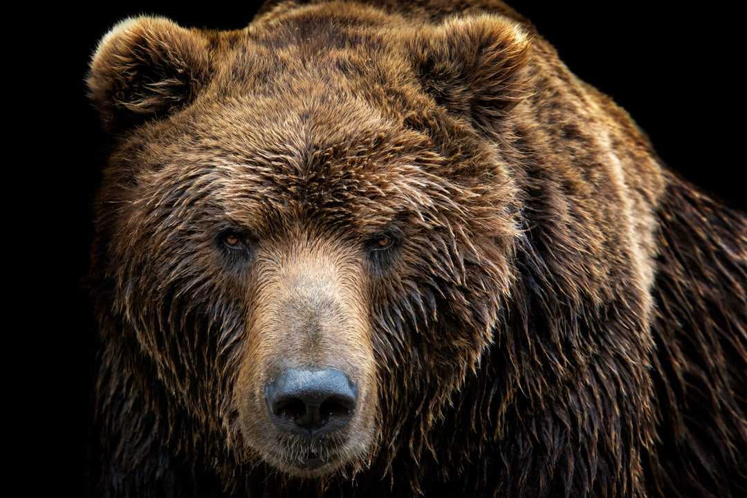 The Gaze of Strength